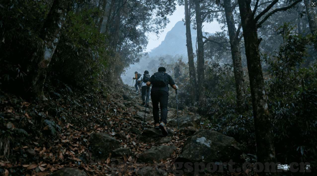 星空卫视体育台节目单-星空卫视体育台节目单一览，解锁激情赛事的钥匙